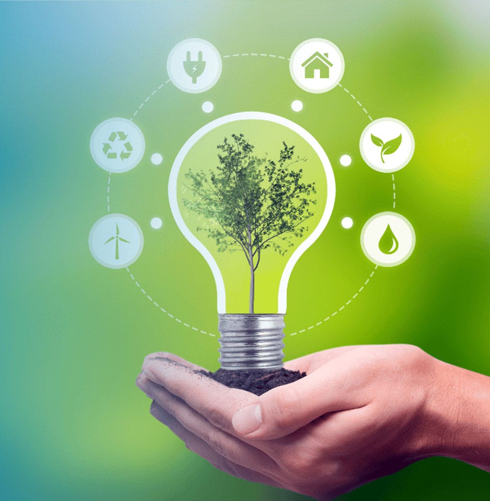 Sustainability Pledge Light Bulb